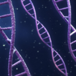 DNA double helixes