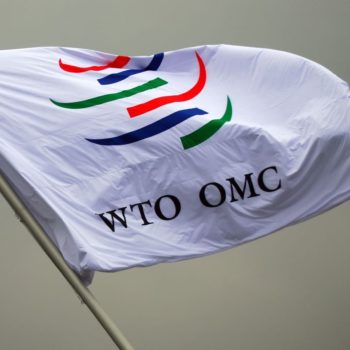 WTO Flag
